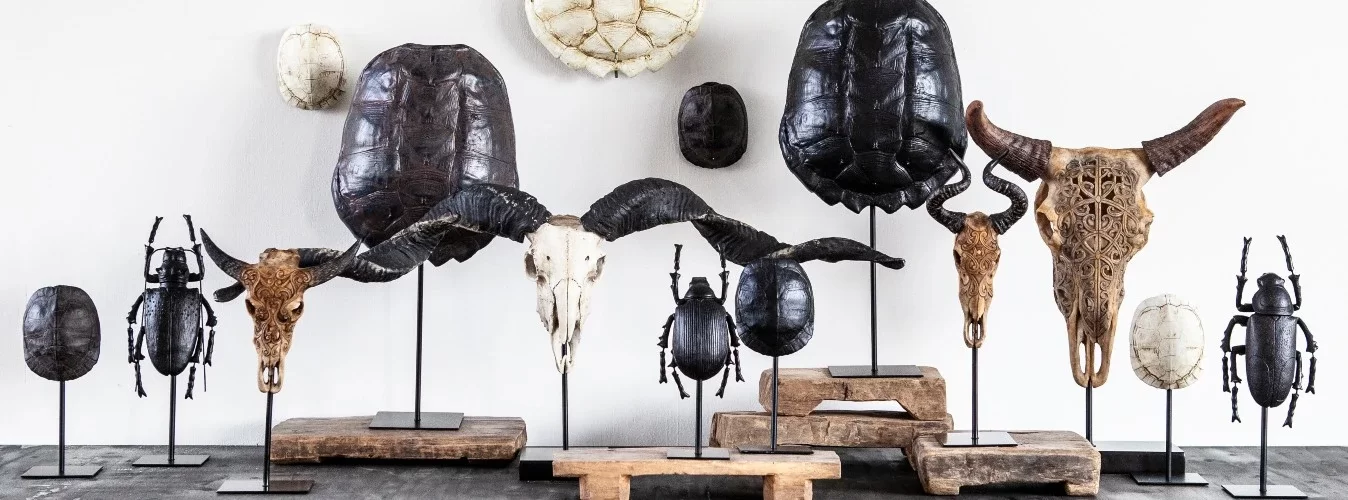 2046-Geels_acc_slider.webp 2046-Geels_acc_slider.webp